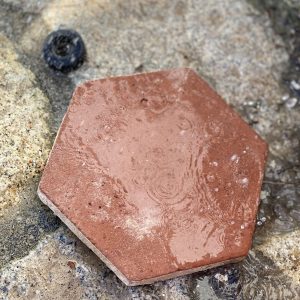 Terracota Hexagonal  s.XIX