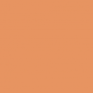 Baldosa Monocolor Naranja 9060