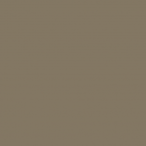 Baldosa Monocolor Marrón 6715