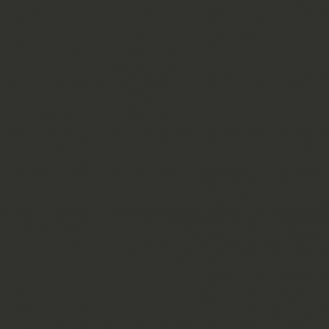Baldosa Monocolor Negro 3017